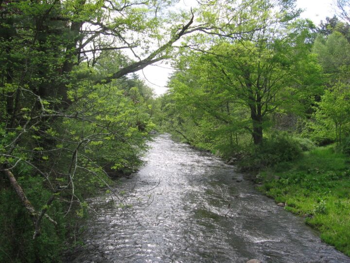 Bantam River (Outlet), Connecticut