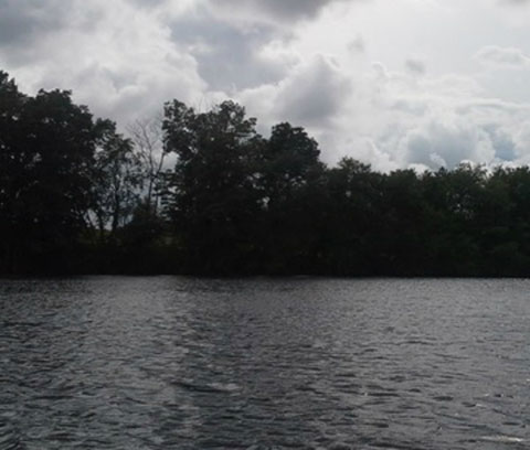 Ashland Park Pond