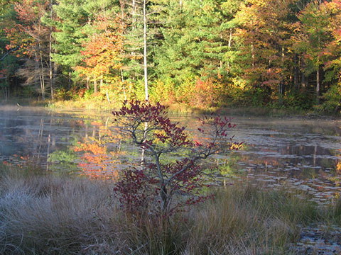 Bald Mountain Pond