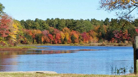 Beachdale Pond