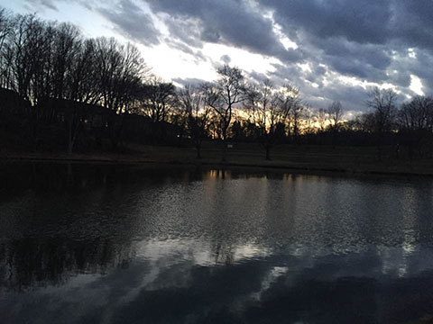 Beachland Pond
