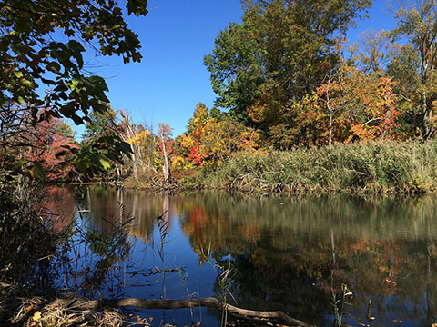 Beaver Brook Pond