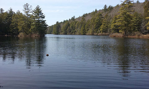 Bigelow Pond