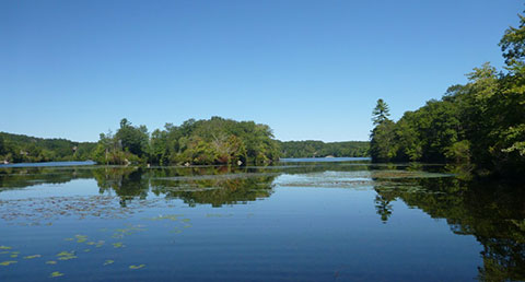 Billings Lake