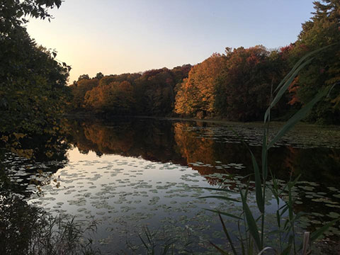 Branford Supply Ponds