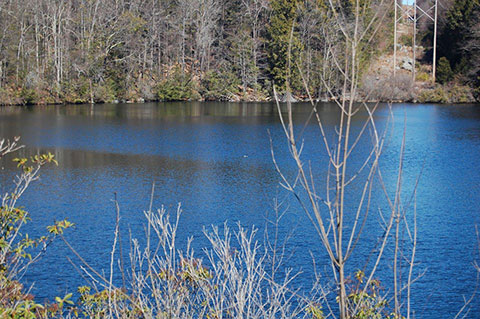 Burr Pond