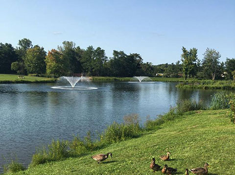 Butternut Park Pond