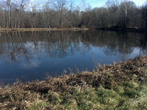 Christensen’s Pond