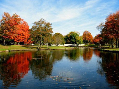 City Hall Pond