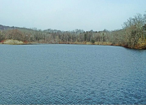 Clarks Pond