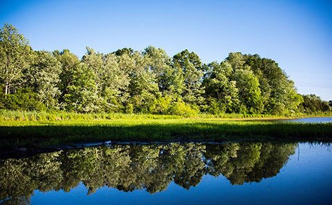 Dooley Pond