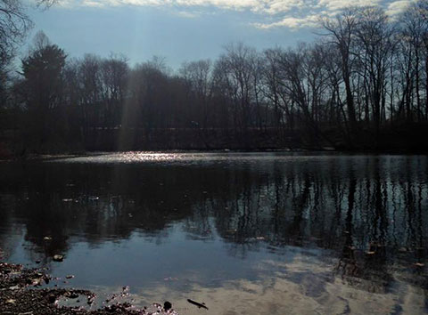 Edgewood Park Pond
