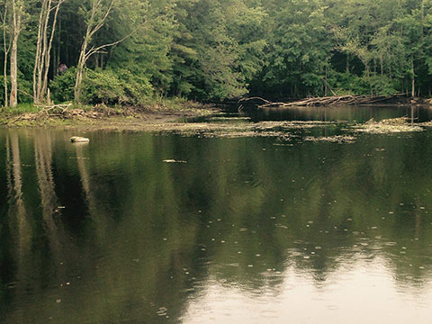 Far Mill Reservoir