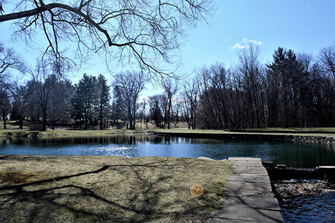 Fernridge Park Pond