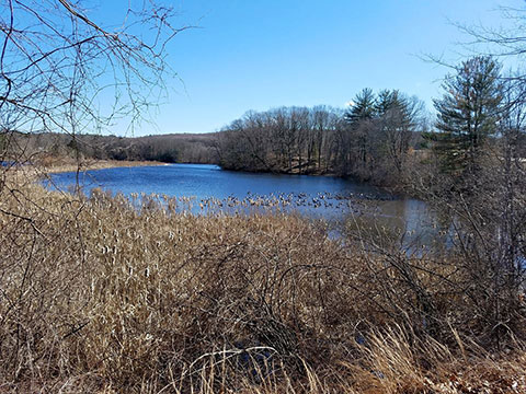 Fitchville Pond