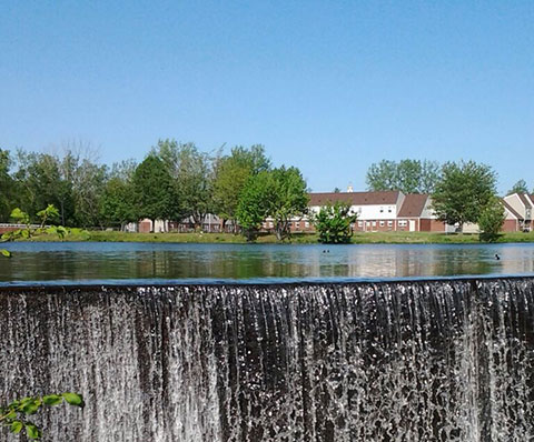 Freshwater Pond