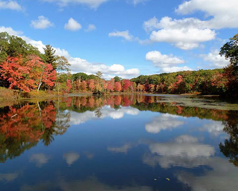 Gay City Pond