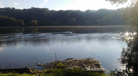 Gorton Pond
