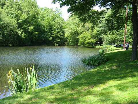 Gould Manor Pond