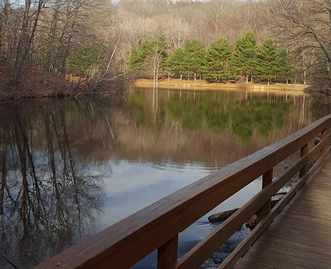 Great Hollow Pond