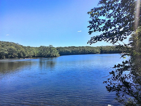 Green Falls Reservoir
