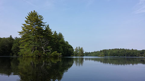 Halls Pond