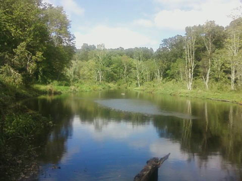 Hallville Pond