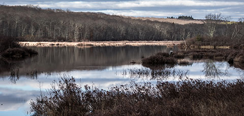 Hampton Reservoir