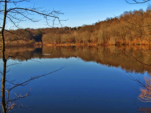 Hanover Pond