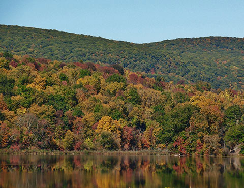 Hatch Pond