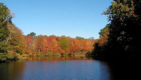 Hewitt Pond