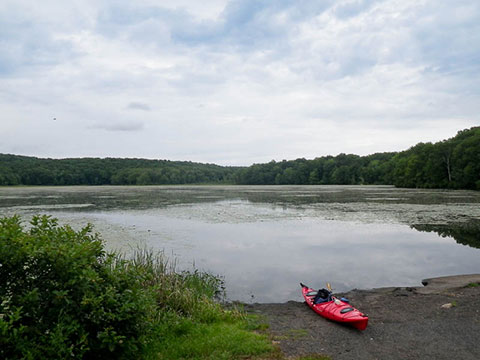 Holbrook Pond