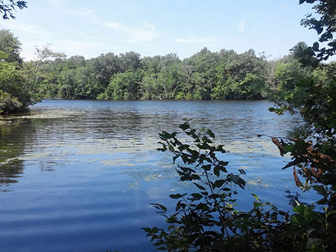Hopeville Pond
