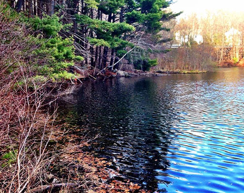 Kaatz Pond