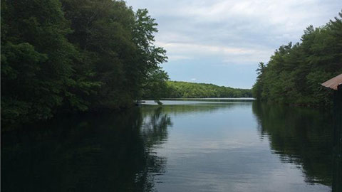 Killingly Pond