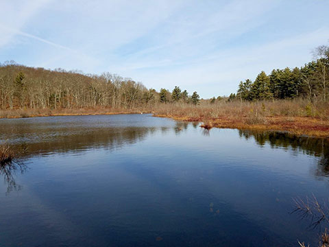 Lake Hayward