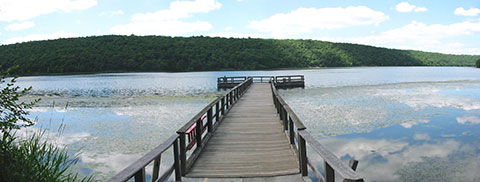 Saltonstall Lake