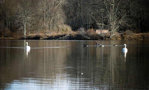 Lake Stibbs