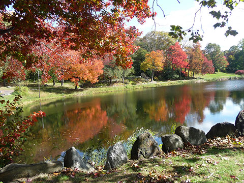 Lower Fulton Park Pond