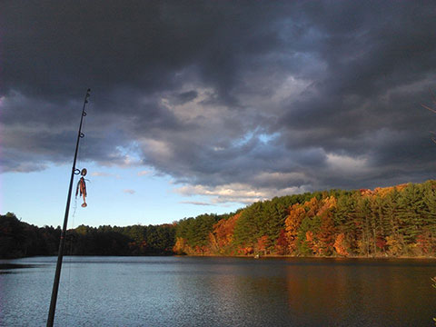 Maltby Lakes