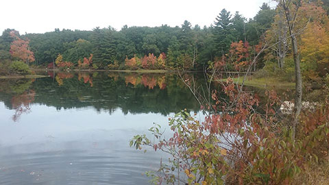 Mansfield Hollow Reservoir