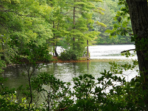 Mashapaug Lake