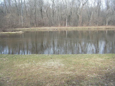 Mcgovern Pond