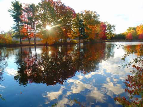 Mill Pond