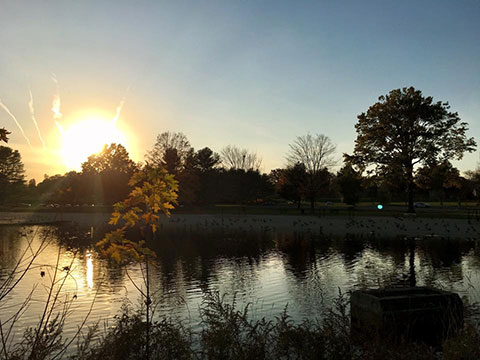 Mill Woods Park Pond