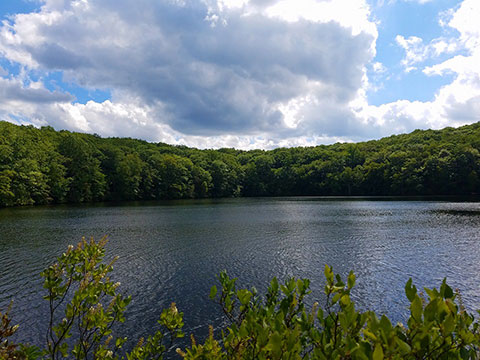 Millers Pond