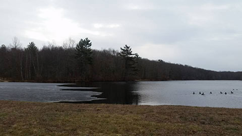 Mono Pond
