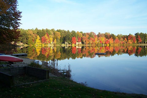 Muddy Pond