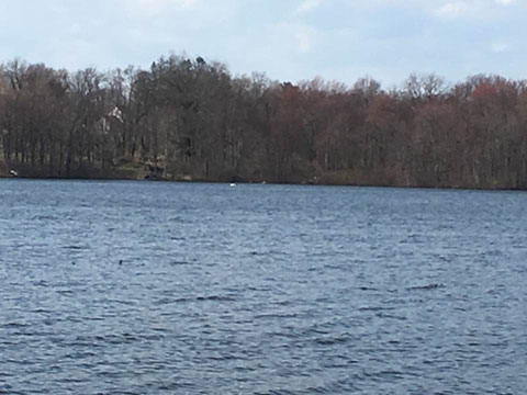 North Farms Reservoir