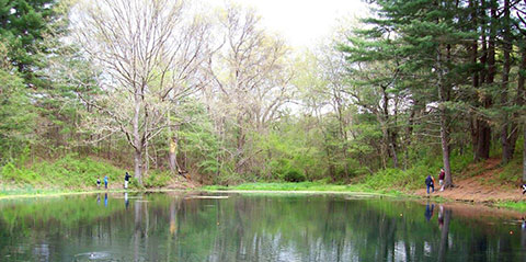 Pasture Pond